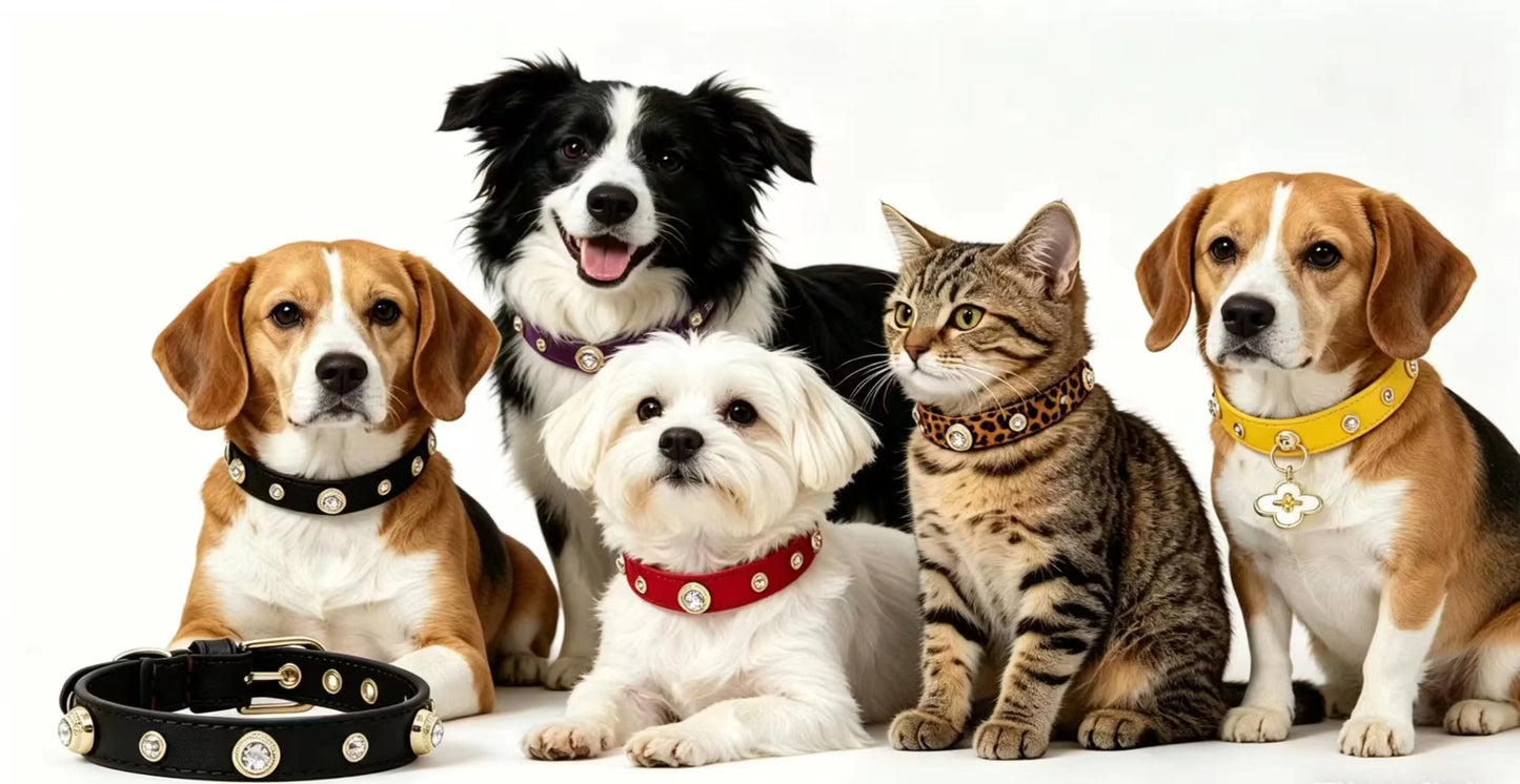 Rhinestone Genuine Leather Dog & Cat Collar