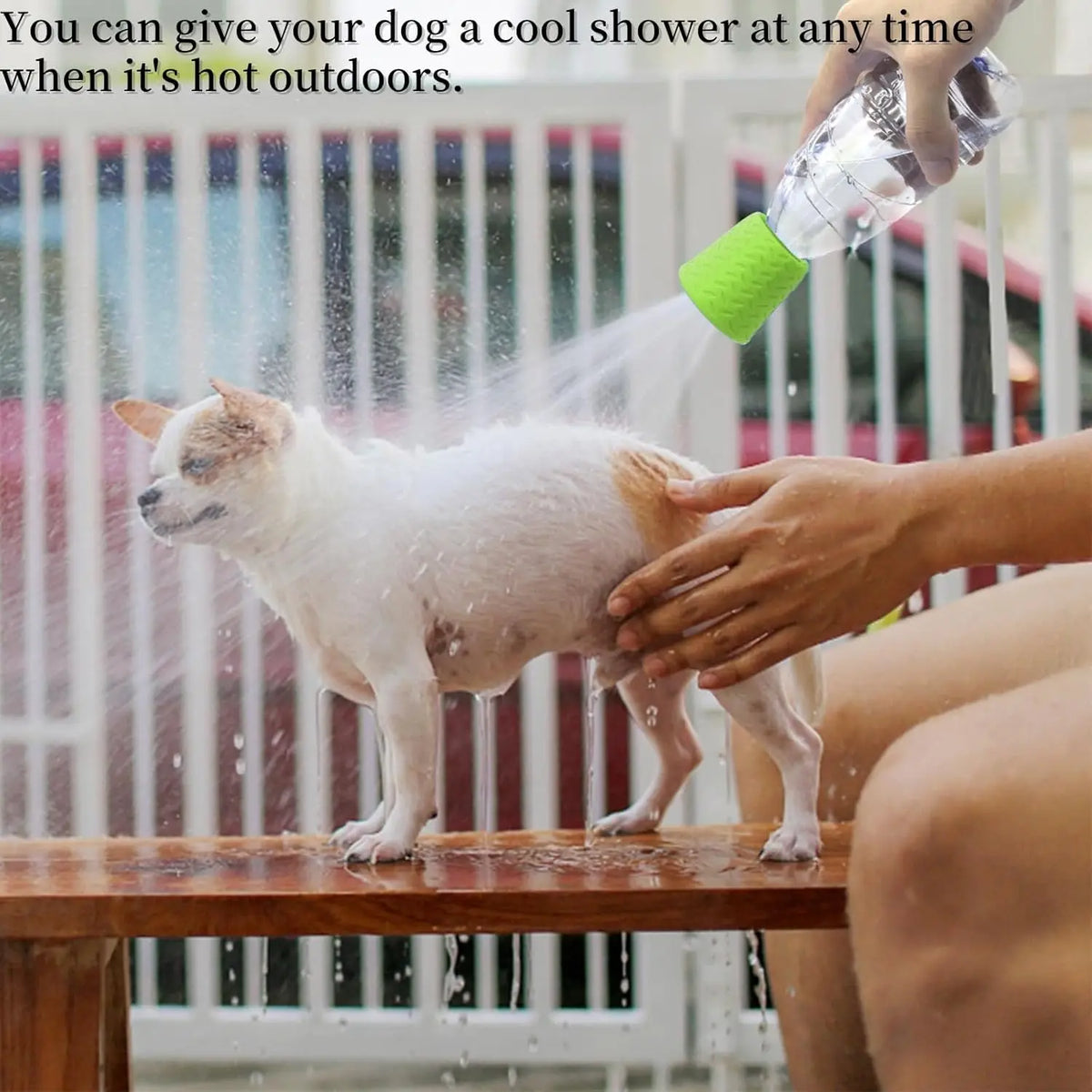 Portable Pet Shower Sprayer Nozzle for Bottles