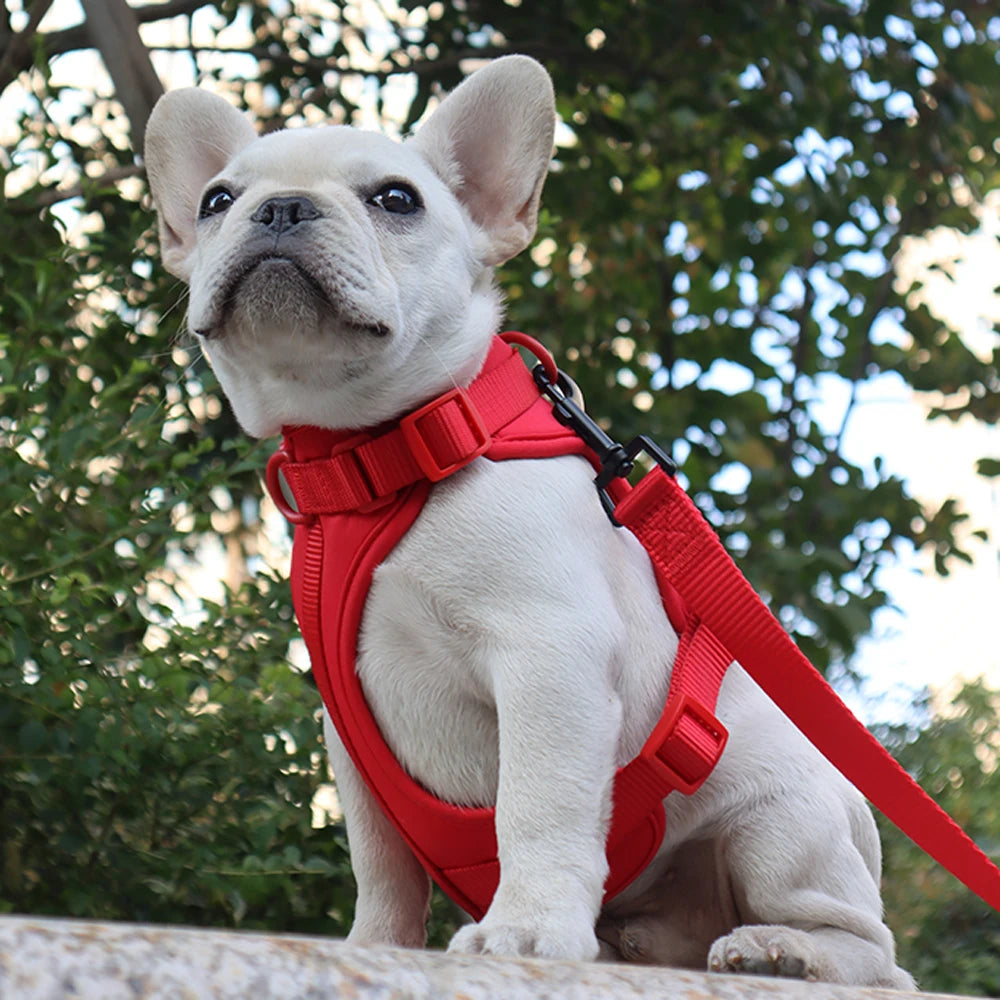 Breathable Adjustable Dog Harness Vest