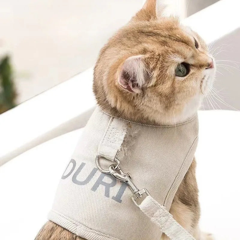 Harnais réglable anti-évasion et laisse pour petits chiens et chats