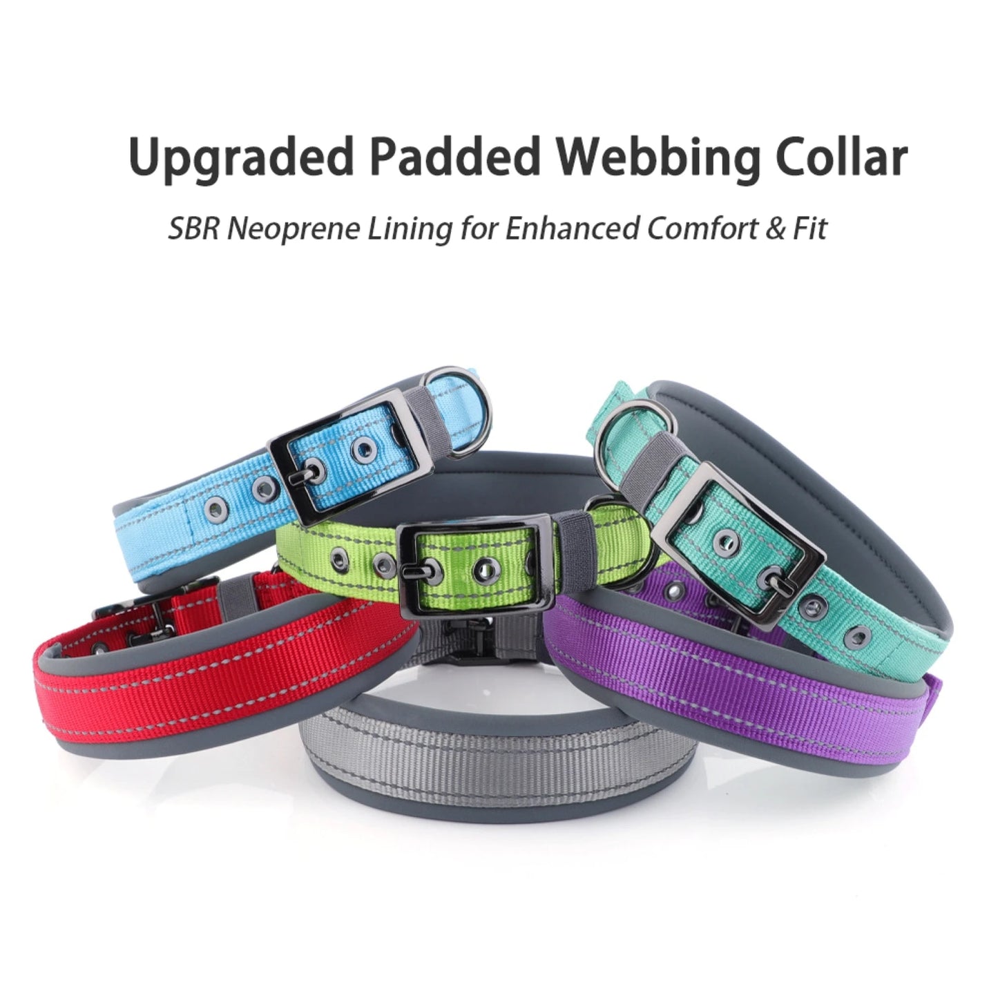 Neoprene Padded Reflective Dog Collar with Metal Buckle
