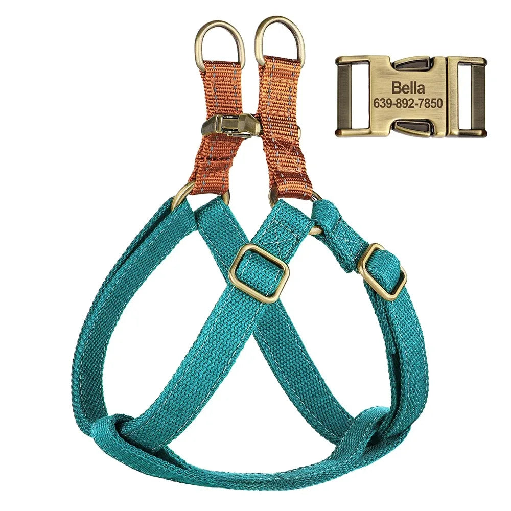 Ensemble harnais de dressage et collier personnalisé pour chien