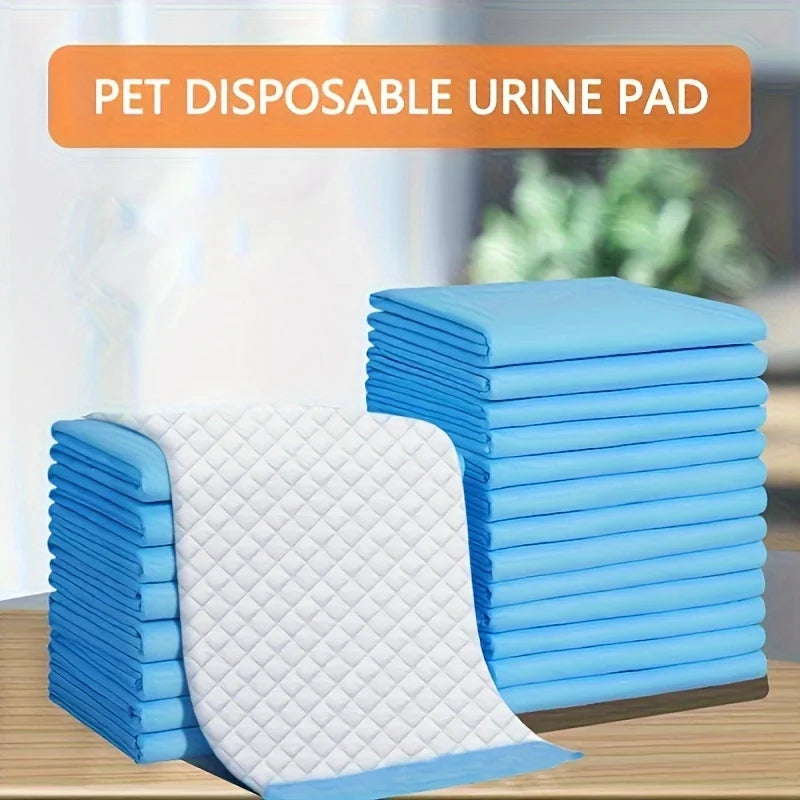 Alèses jetables pour chiens - Tapis absorbants pour chiots pour l'apprentissage de la propreté