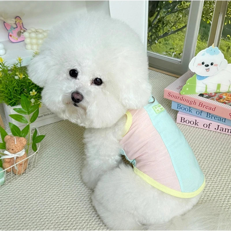 Gilet rafraîchissant réfléchissant et t-shirt d'été pour chiens et chats de petite, moyenne et grande taille