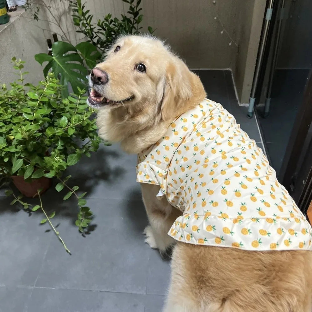 Robe de princesse rafraîchissante et gilet d'été pour chiens de taille moyenne et grande