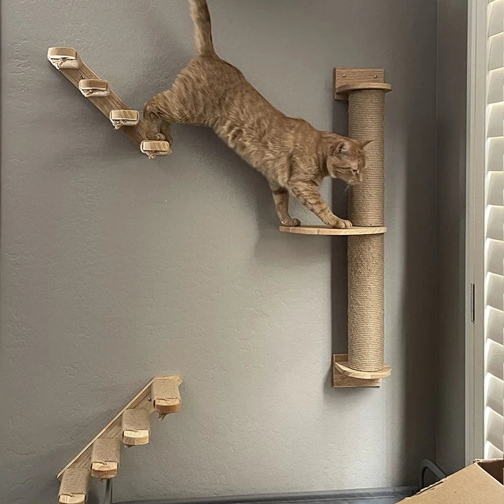 Wall-Mounted Cat Climbing Shelf & Hammock Set