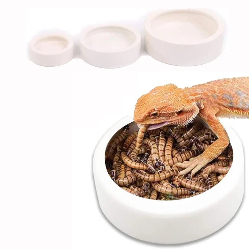 Gravity Pet Water & Food Dispenser Station – For Cats & Dogs