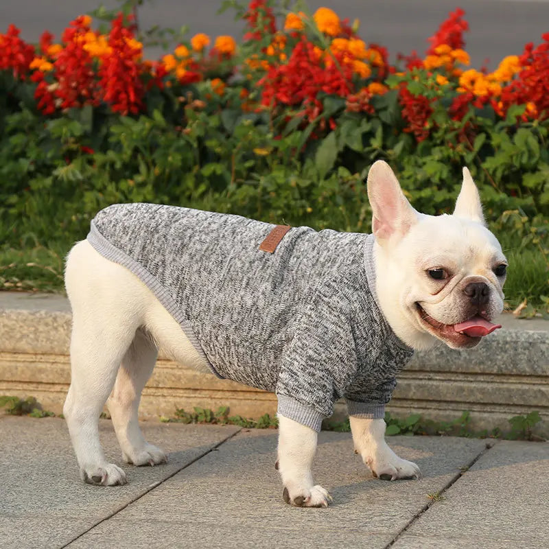 Winter Pet Jacket - Warm Coat for Dogs and Cats