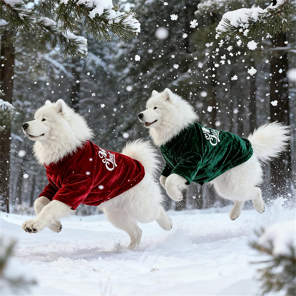 Christmas Dog Sweater