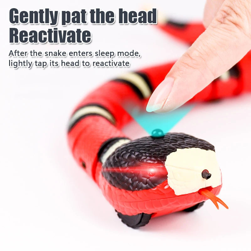 Interactive Slithering Snake Cat Toy