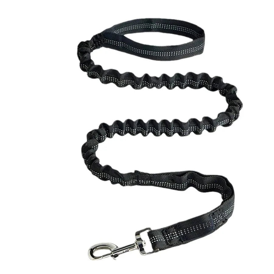 Laisse de dressage élastique antichoc pour chien