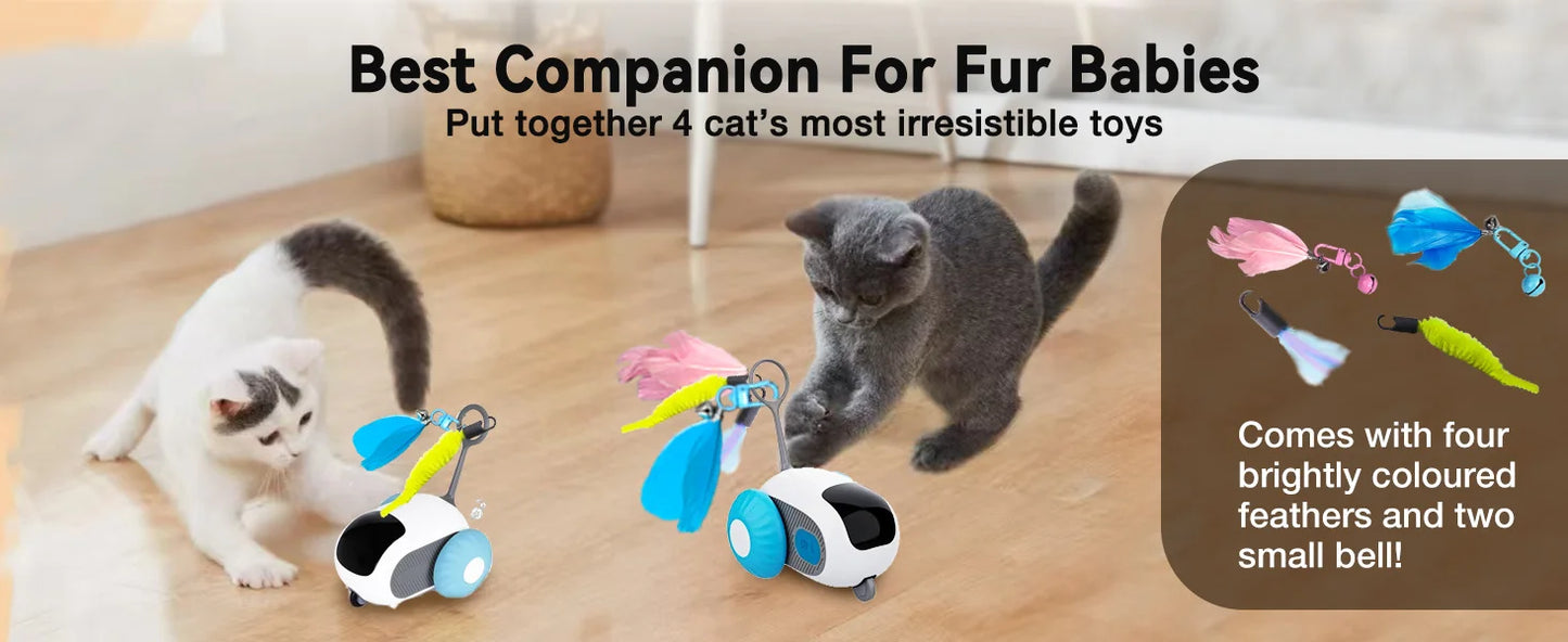 Remote Control Interactive Cat Toy