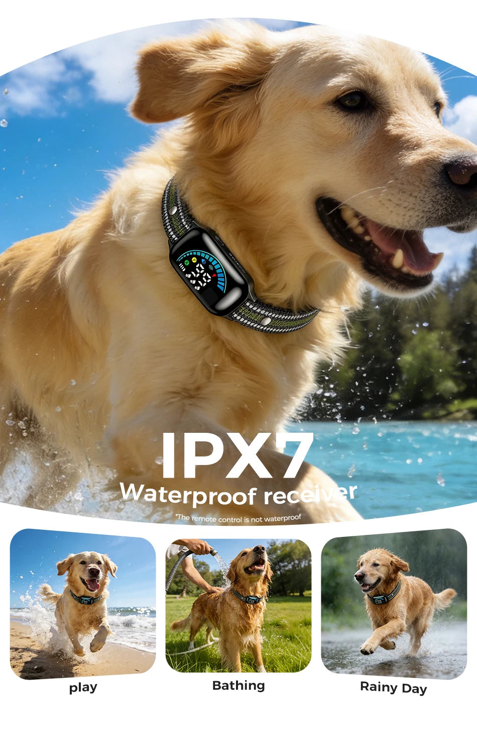 Collier de dressage pour chien avec télécommande 1000m, vibrations et anti-aboiements