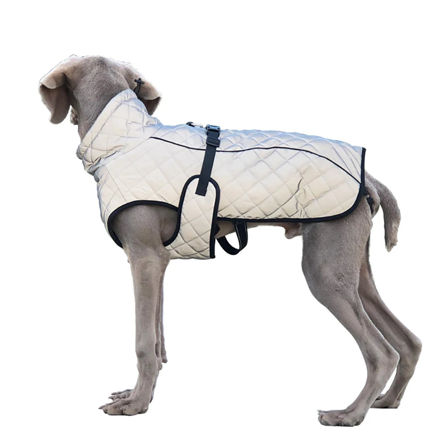 Reflective Winter Dog Jacket & Outdoor Vest
