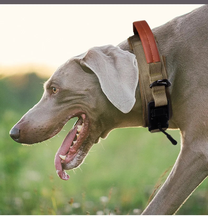 Adjustable Tactical Training Collar for Medium & Large Dogs