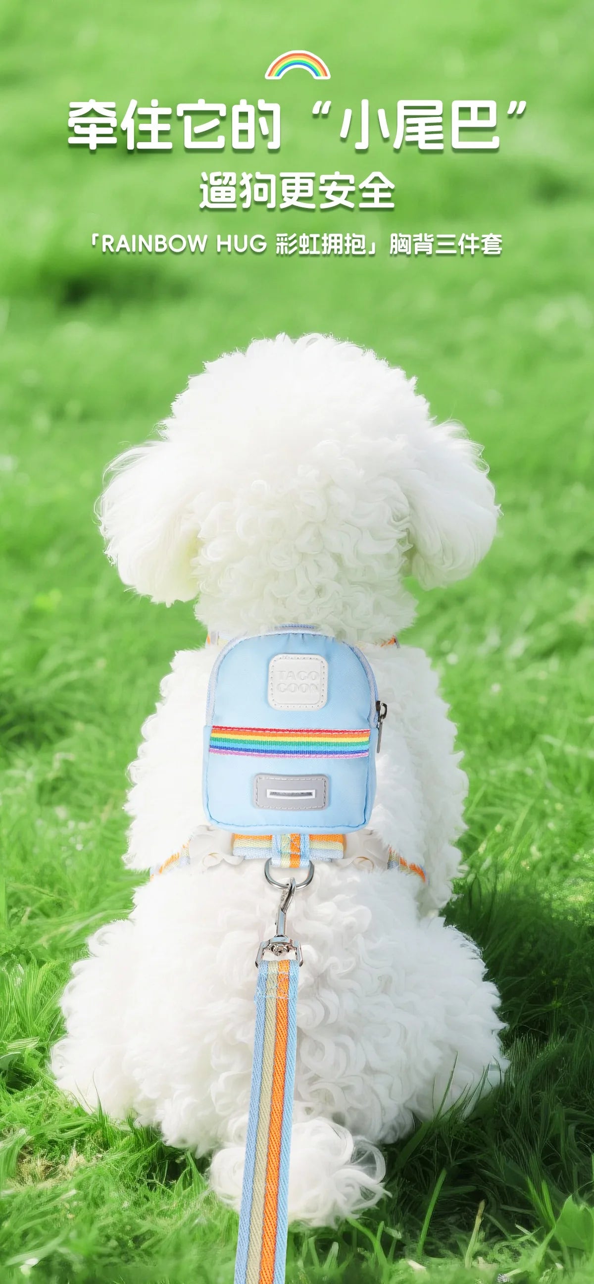 Dog Harness & Lead Set – Padded Vest Harness with Reflective Strips for Small & Medium Dogs