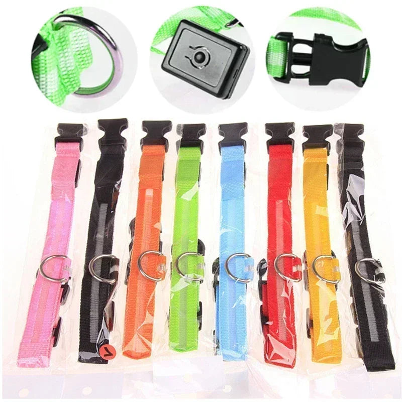 Collier lumineux LED pour chien - Réglable, clignotant, rechargeable - Collier lumineux pour la sécurité nocturne - Harnais lumineux anti-perte pour chien