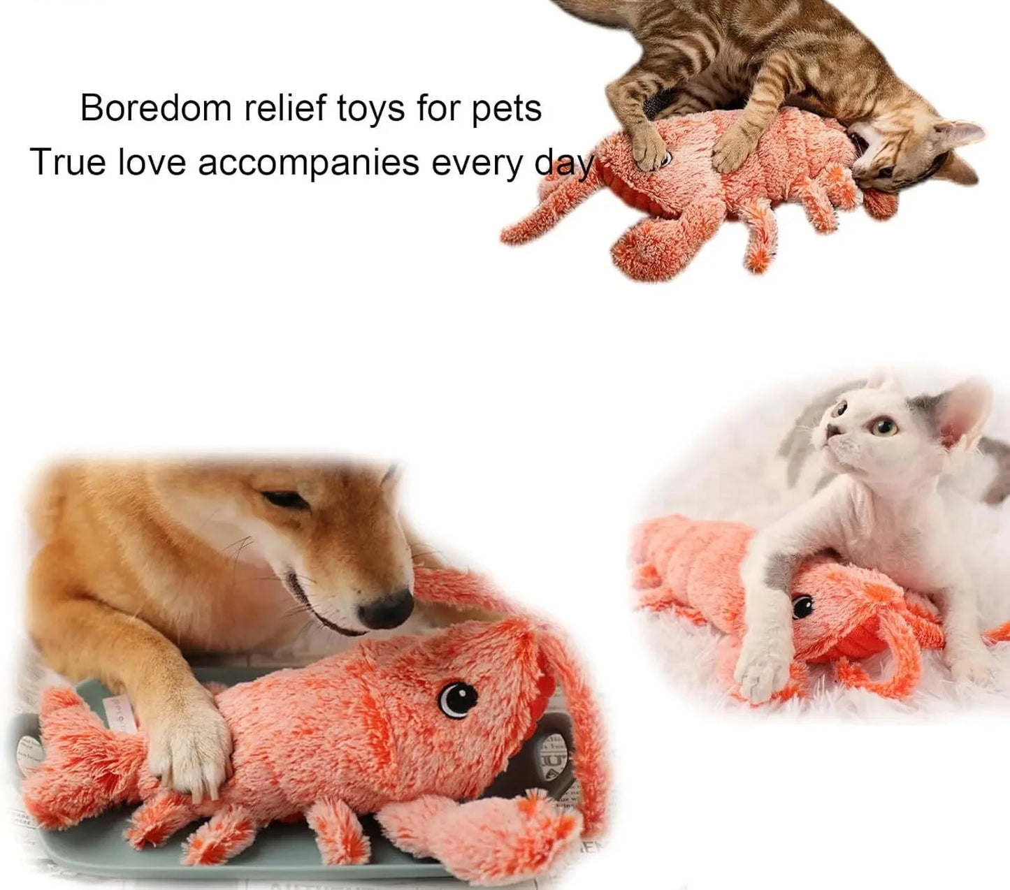 Jouet interactif pour chat homard vibrant avec herbe à chat