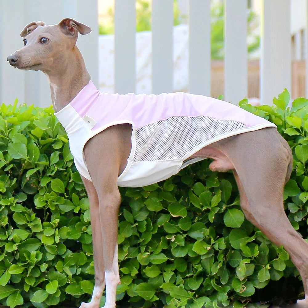 Breathable Summer Cooling Vest for Dogs & Cats