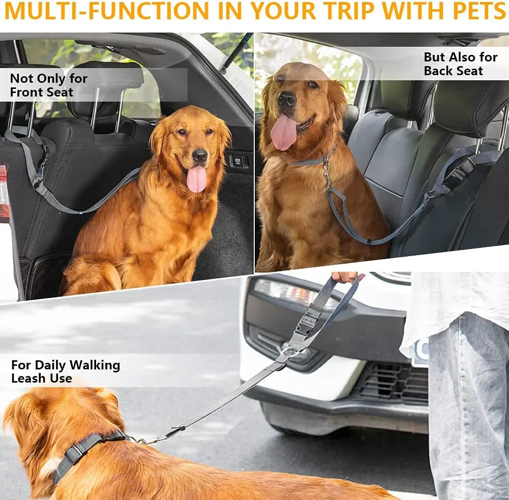 Harnais réglable et ceinture de sécurité pour chien