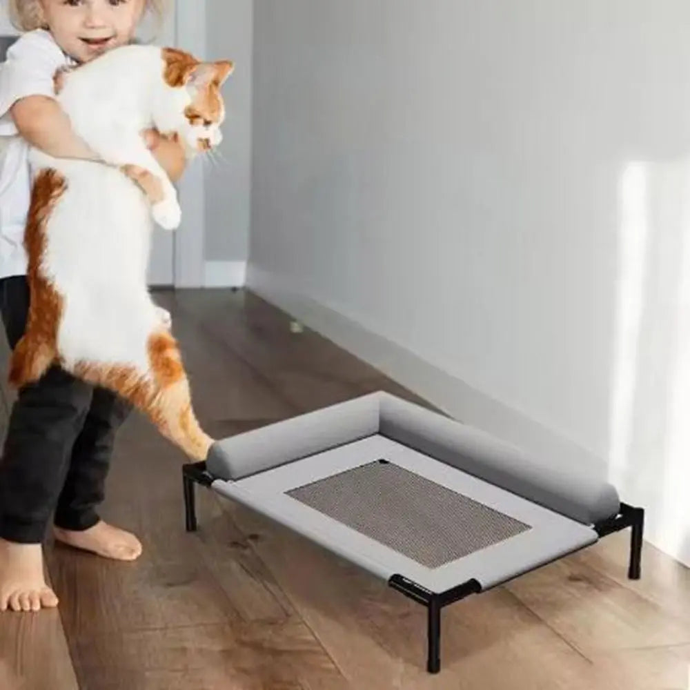Elevated Mesh Dog Bed with Pillow — Breathable Raised Outdoor & Indoor Pet Bed