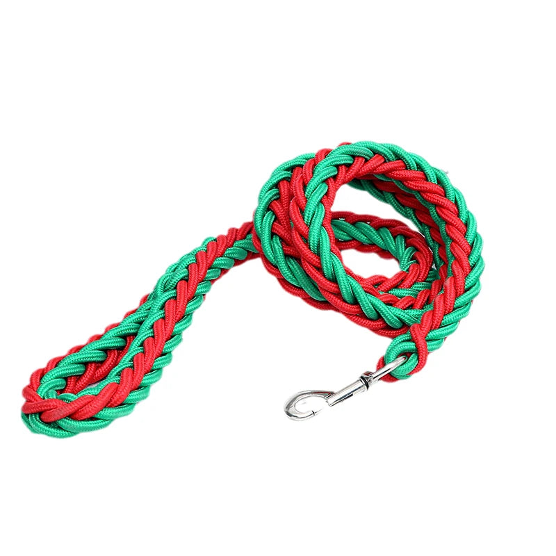 Heavy-Duty Nylon Dog Lead