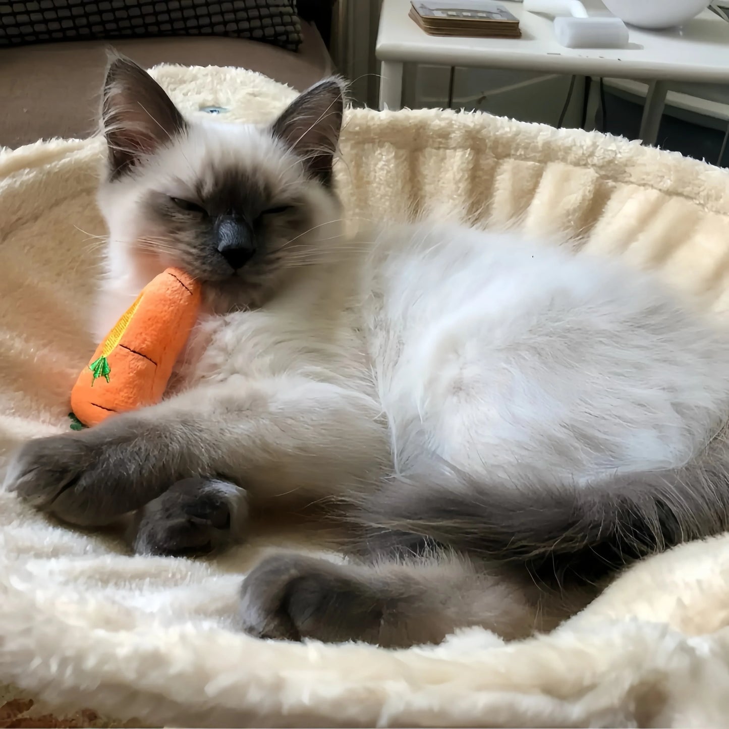 Mini Catnip Plush Toy Set for Cats – Choose Your Size & Quantity