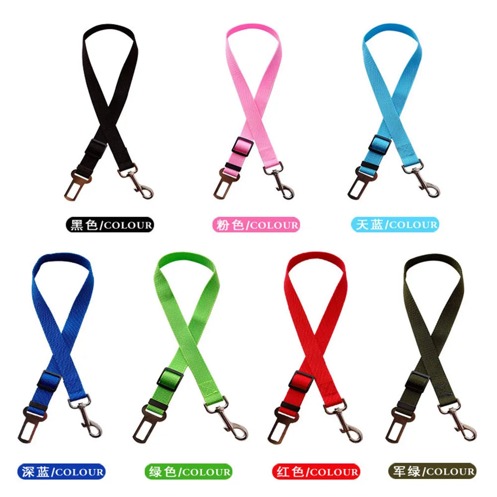 Ceinture de sécurité rétractable pour chien avec bande réfléchissante