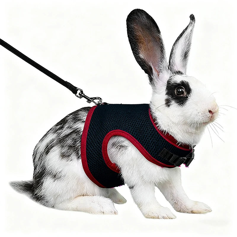 Mesh Breathable Harness & Leash Set for Rabbits, Ferrets & Small Pets