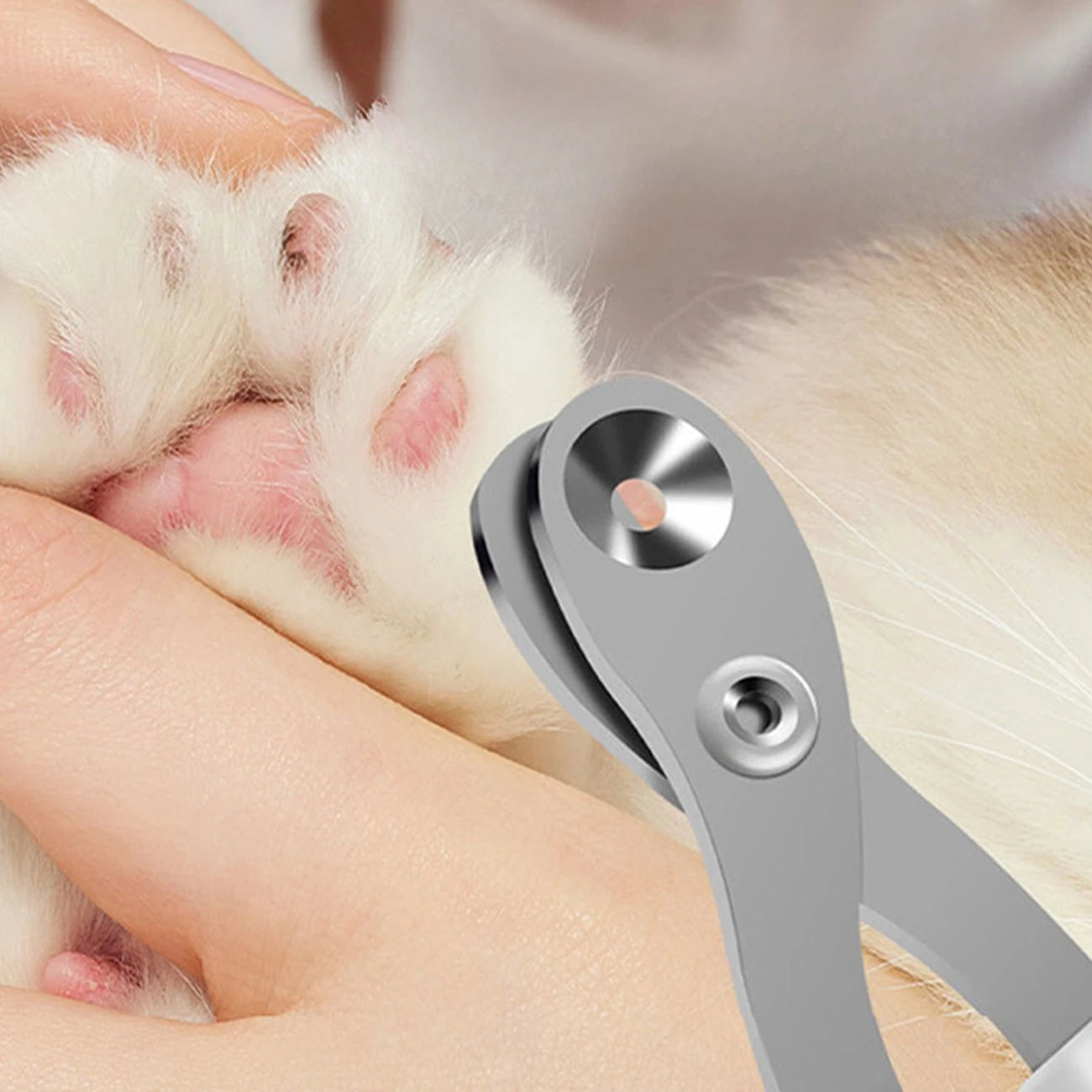 Professional Pet Nail Clippers for Dogs and Cats