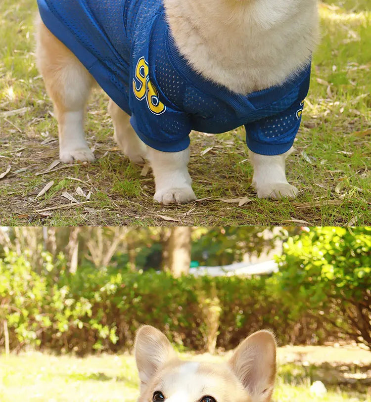 LA Style Dog Cooling Vest | Summer Breathable Shirt for Small to Large Dogs