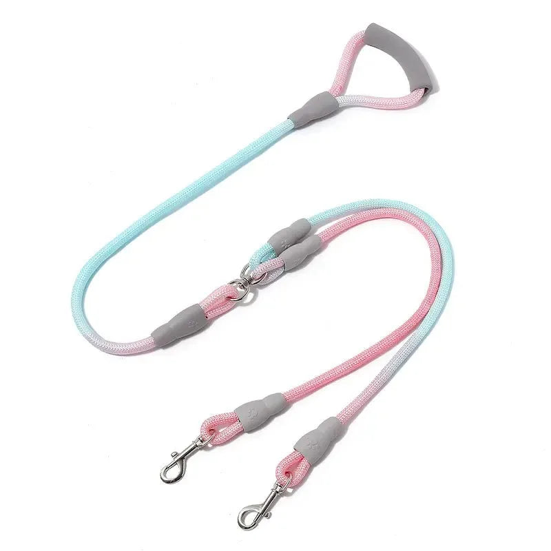 Ensemble complet de collier, harnais et laisse pour chien de qualité supérieure