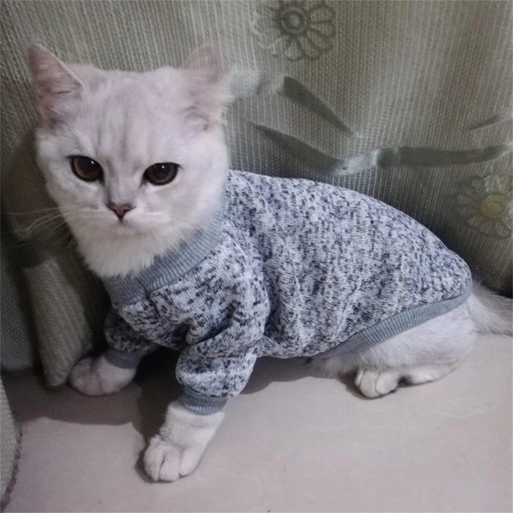 Non-Hair-Sticking Pet Hoodie for Cats & Small Dogs