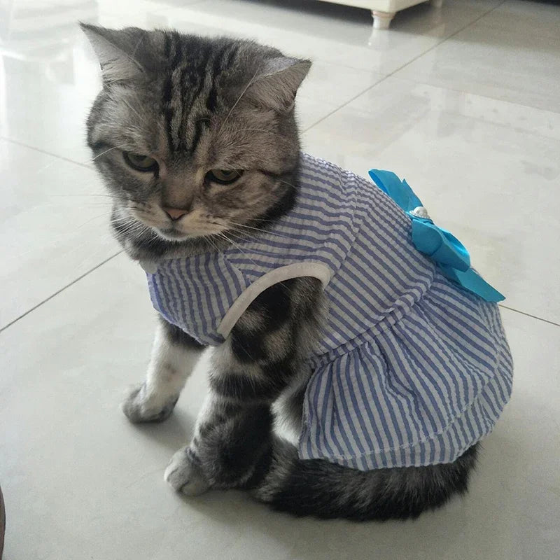 Robe de princesse pour animaux de compagnie - Robe d'été à rayures et carreaux avec nœud pour chats et petits chiens