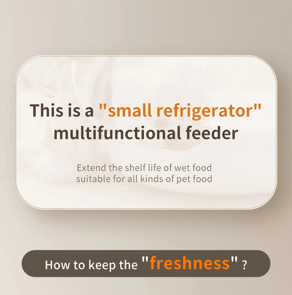 Automatic Pet Feeder for Wet & Dry Food