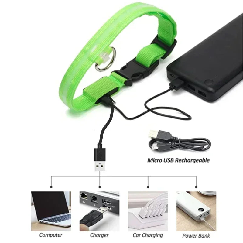 Collier lumineux LED pour chien - Réglable, clignotant, rechargeable - Collier lumineux pour la sécurité nocturne - Harnais lumineux anti-perte pour chien