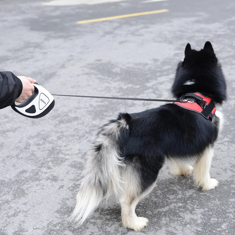 LED Retractable Dog Leash with Light