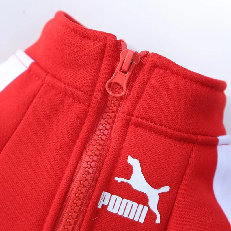 Dog Baseball Jacket | Autumn Winter Sweatshirt Coat for Small & Medium Dogs