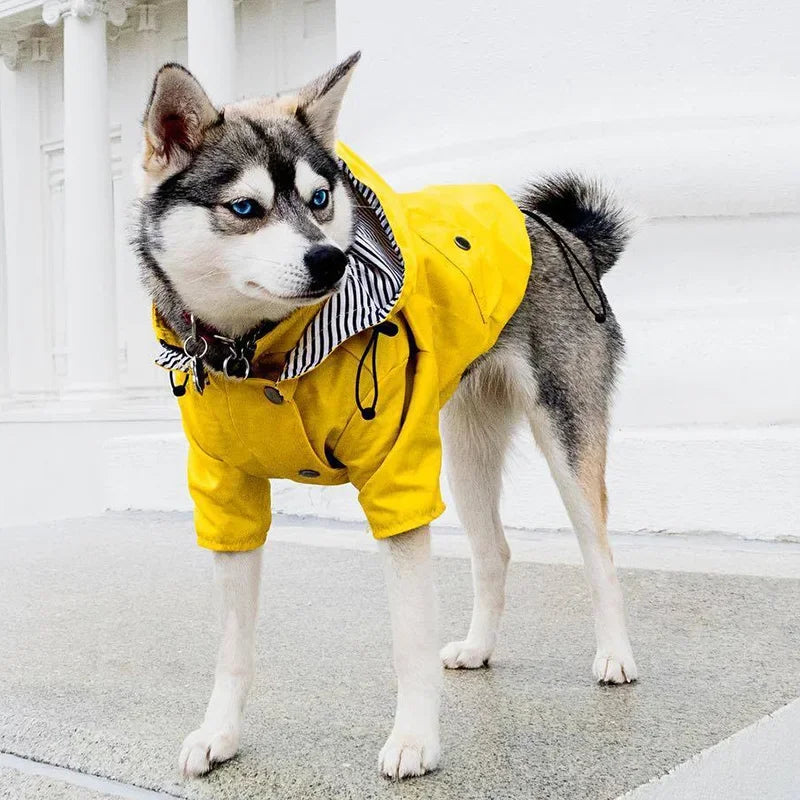 Waterproof Striped Raincoat for Dogs