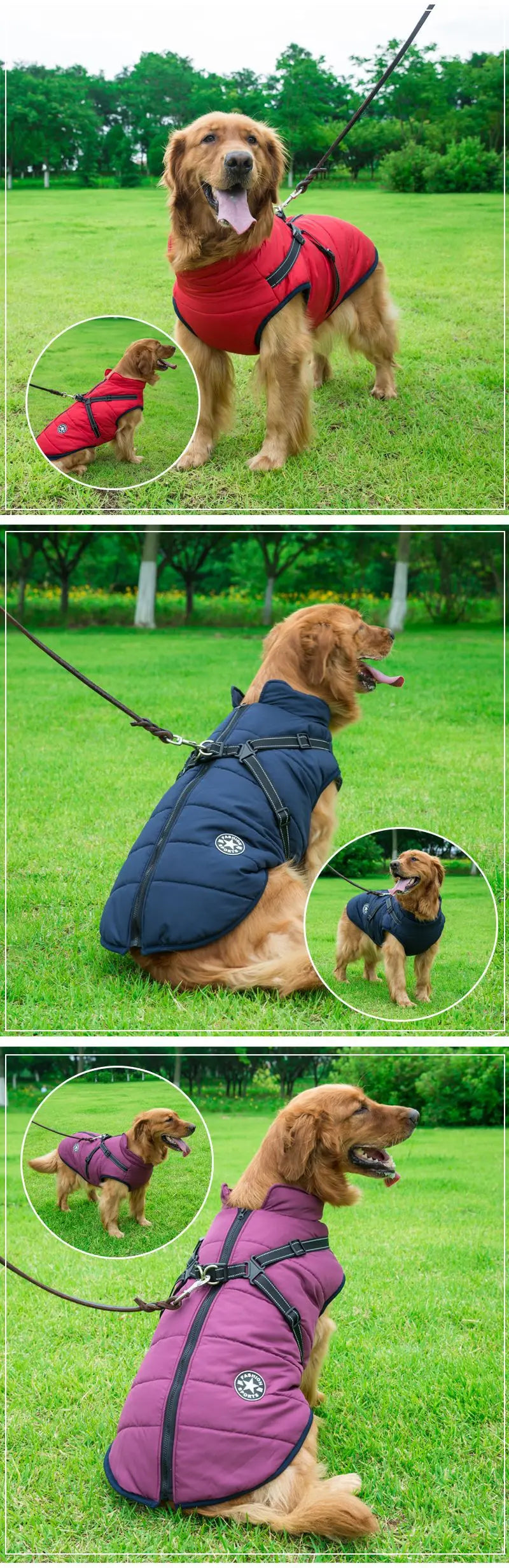 Veste imperméable pour chien avec harnais