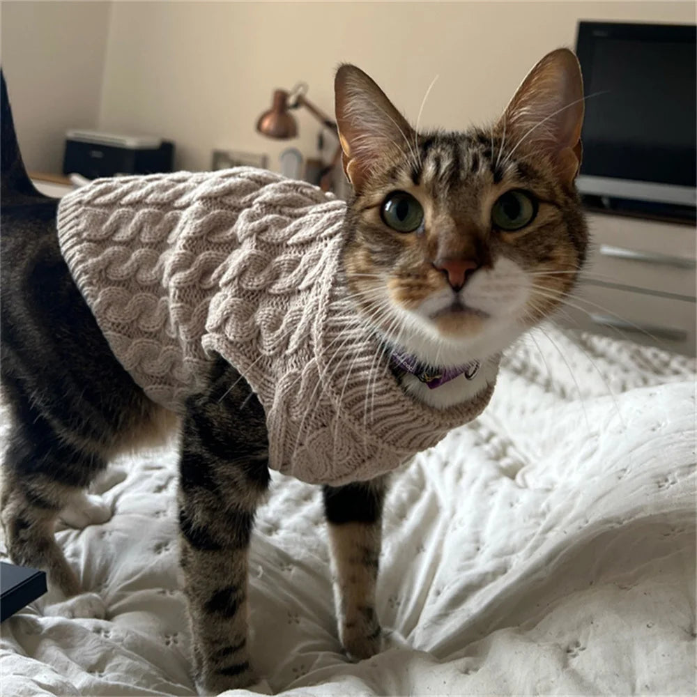 Knitted Pet Sweater for Cats & Small Dogs — 7 Colours, XS–XL