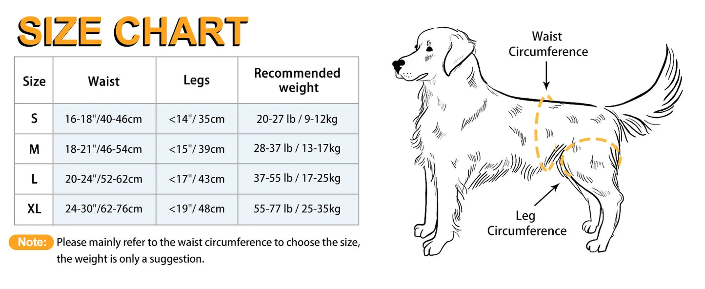 Hind Leg Support Dog Sling for Large & Senior Dogs | Adjustable Mobility Aid