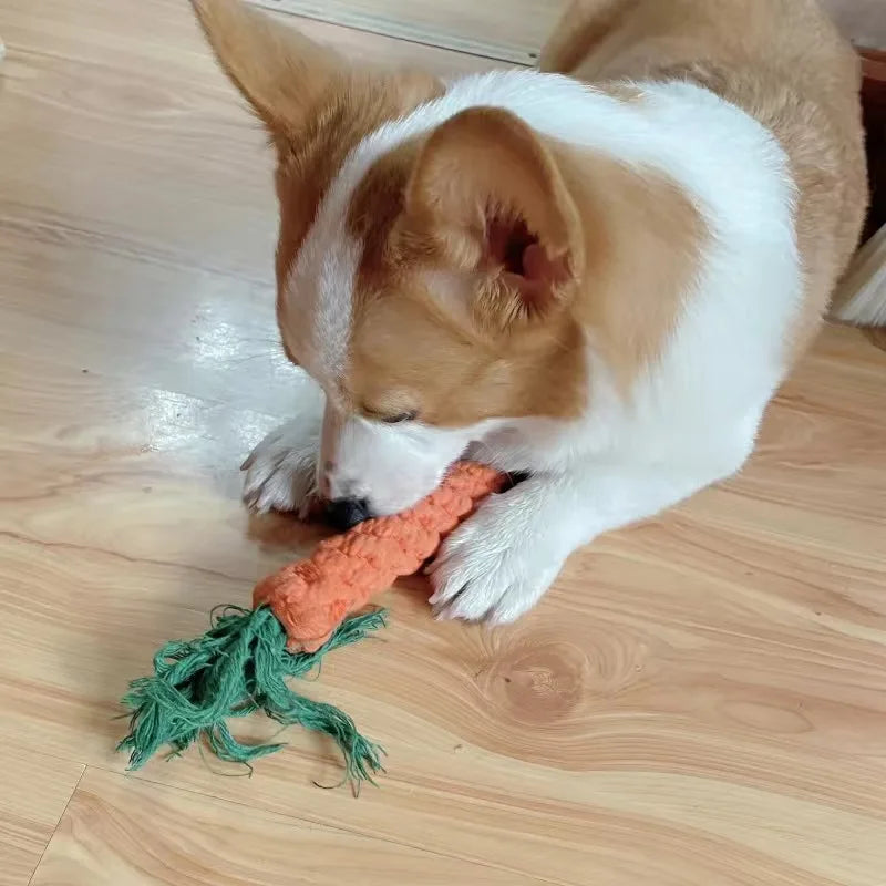 Puppy Dog Chew Toys Ropes Bite-resistant Molar Stick for Small Dogs Chihuahua French Bulldog Cleaning Teeth Toy Pet Accessories