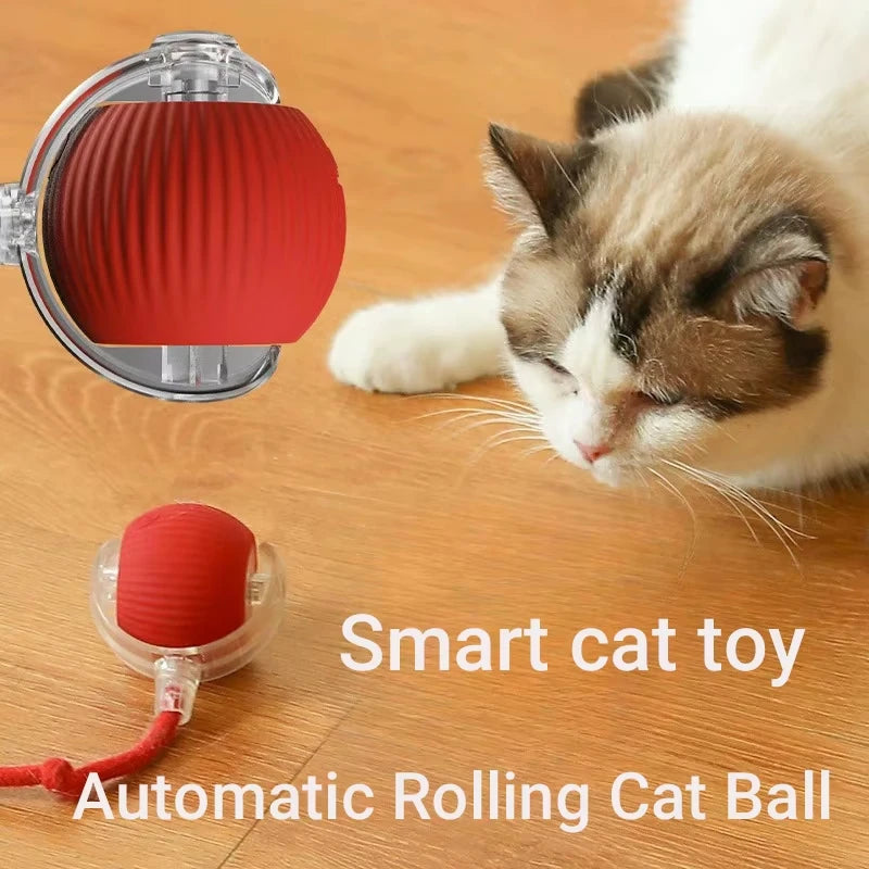 Interactive Self-Moving Cat Toy Ball