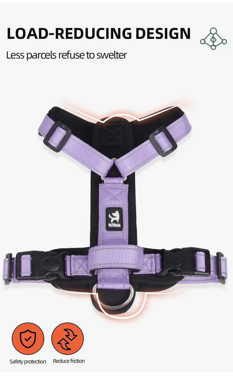Ensemble Harnais et Collier Professionnel pour Dressage de Chien