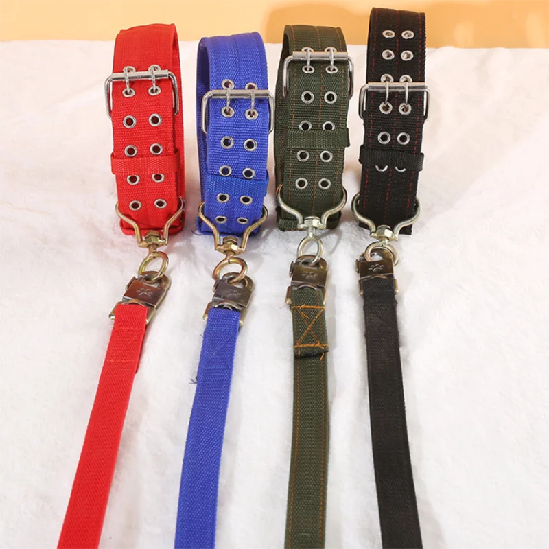 Ensemble laisse et collier pour chien en nylon robuste