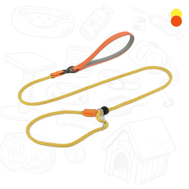 Laisse de dressage 2-en-1 avec collier étrangleur intégré pour petits chiens 150cm