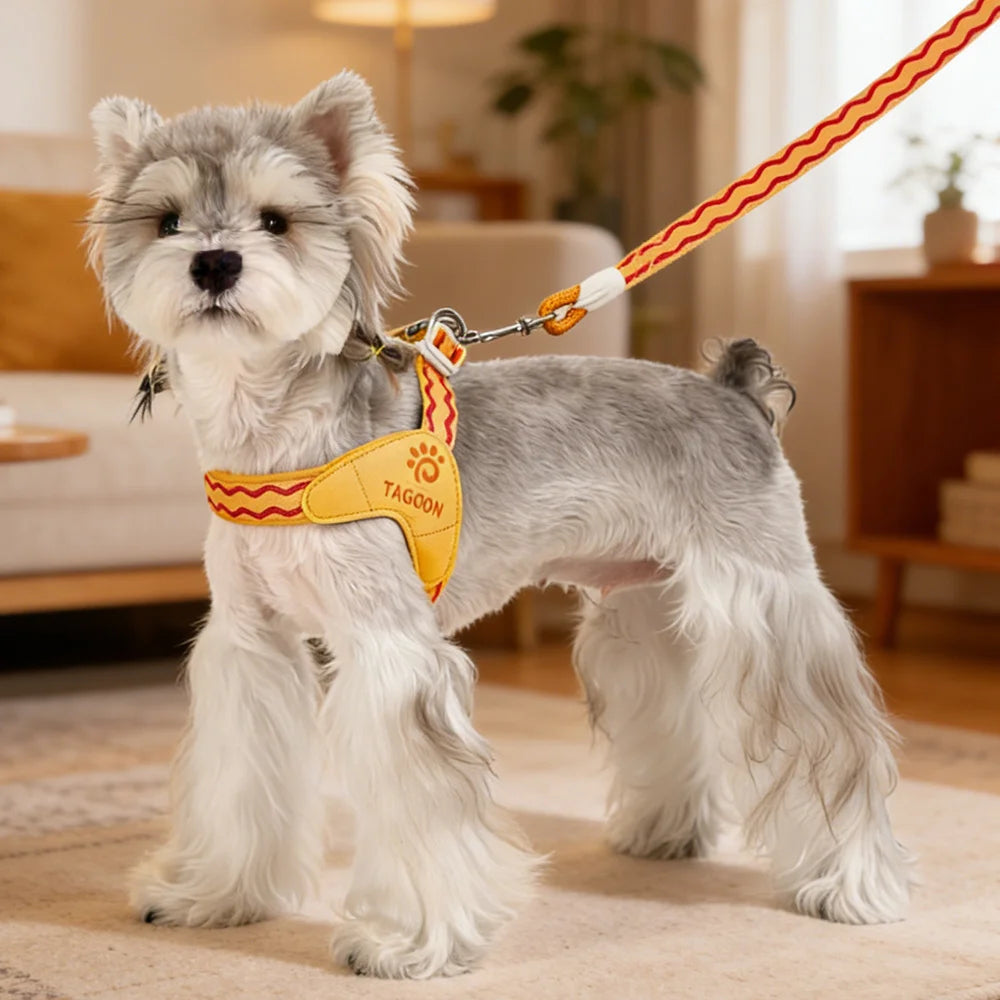 Dopamine Saddle Dog Harness with Leash Set for Small Dogs Comfortable Mesh Breathable Pet Harness for Schnauzer Shiba Inu Puppy