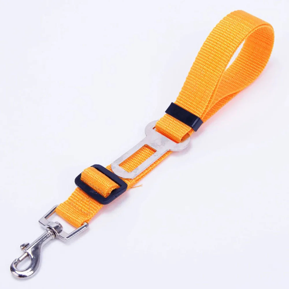 Ceinture de sécurité rétractable pour chien avec bande réfléchissante