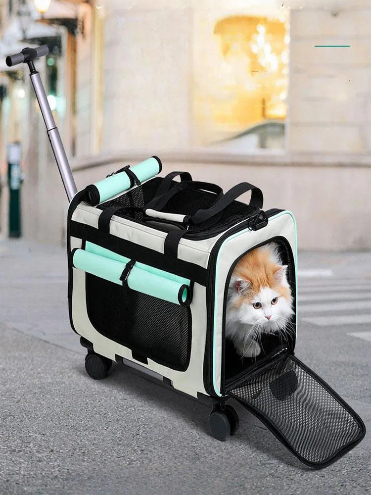 Sac de transport pliable pour animaux de compagnie — Grande valise de voyage détachable